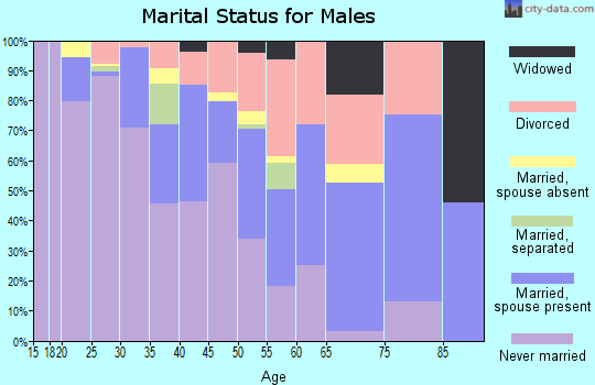 Zip code 32641 marital status for males