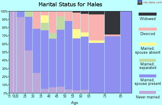 Zip code 32643 marital status for males