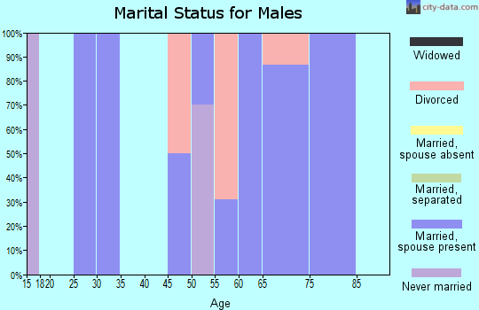 Zip code 32648 marital status for males