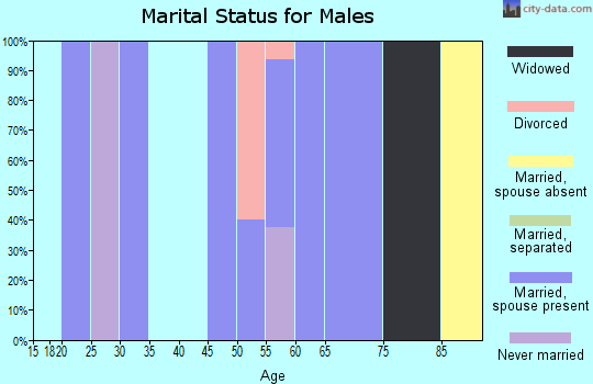 Zip code 32658 marital status for males