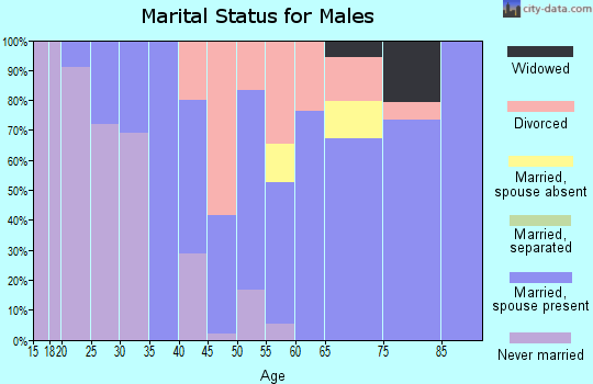 Zip code 32666 marital status for males