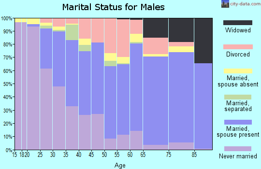 Zip code 32707 marital status for males