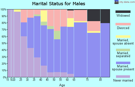 Zip code 32713 marital status for males