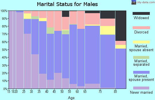 Zip code 32724 marital status for males