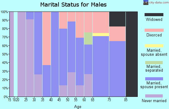 Zip code 32732 marital status for males