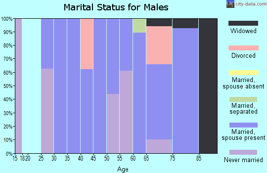 Zip code 32735 marital status for males