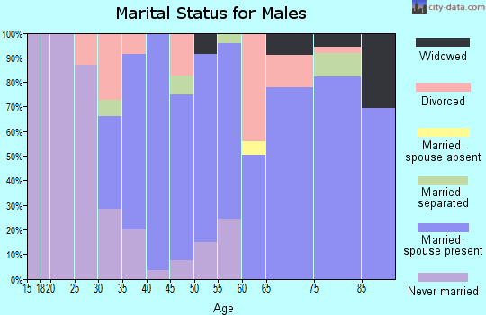 Zip code 32736 marital status for males