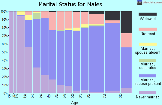 Zip code 32738 marital status for males