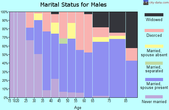 Zip code 32754 marital status for males