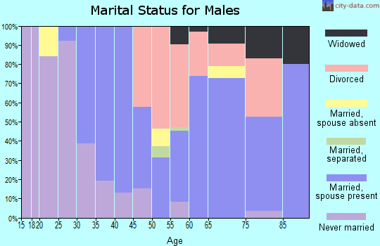Zip code 32759 marital status for males