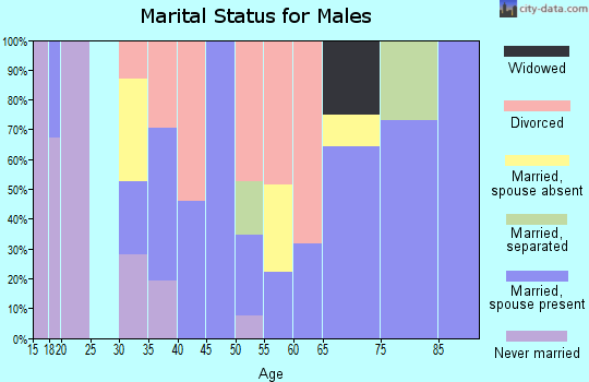 Zip code 32767 marital status for males