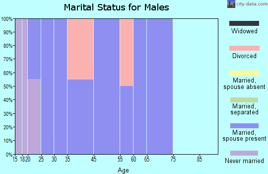 Zip code 32775 marital status for males