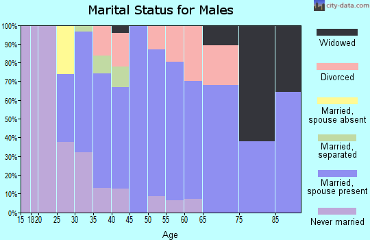 Zip code 32776 marital status for males