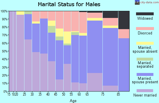 Zip code 32804 marital status for males