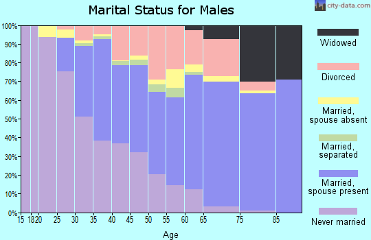 Zip code 32806 marital status for males