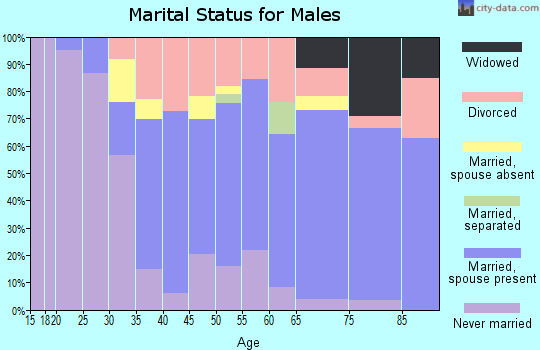 Zip code 32826 marital status for males