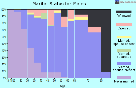Zip code 32828 marital status for males