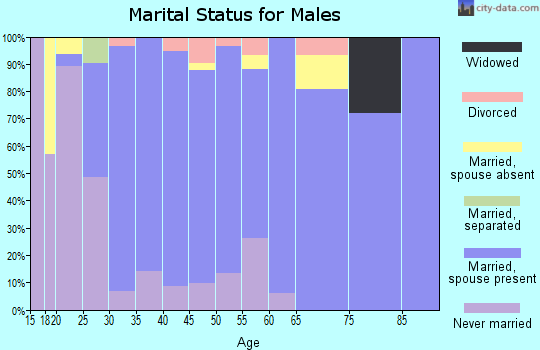 Zip code 32832 marital status for males