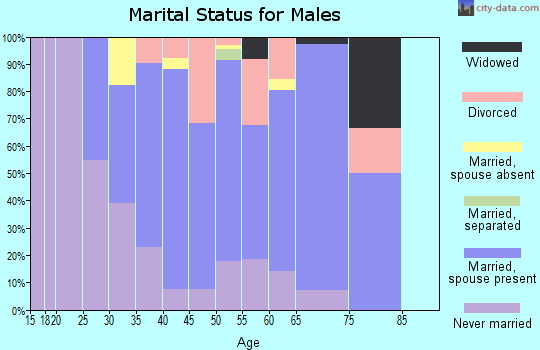 Zip code 32833 marital status for males