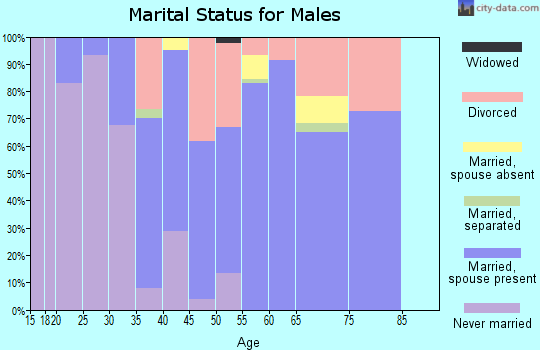 Zip code 32908 marital status for males