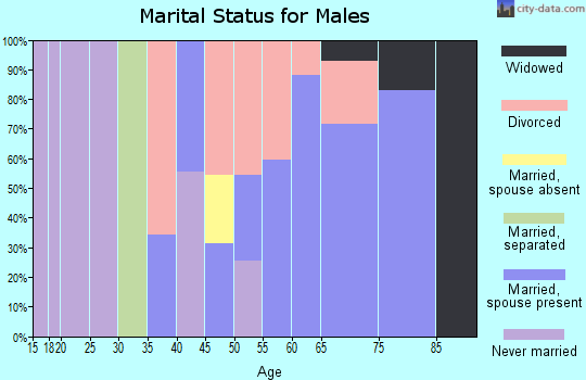 Zip code 32949 marital status for males