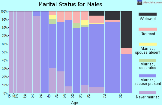 Zip code 32951 marital status for males