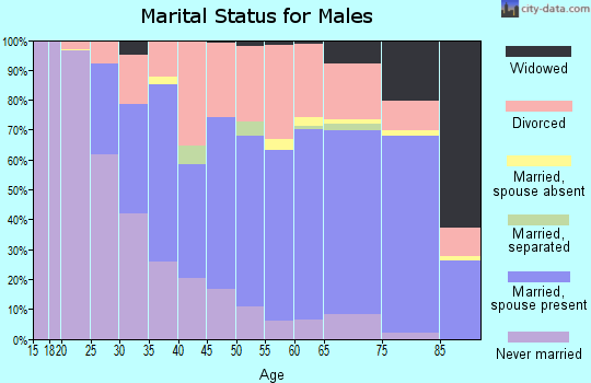 Zip code 32953 marital status for males