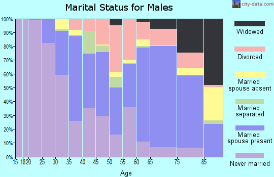 Zip code 32960 marital status for males