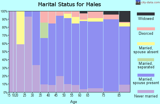 Zip code 32963 marital status for males