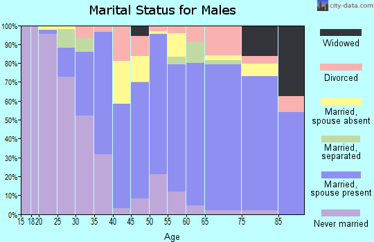 Zip code 32967 marital status for males