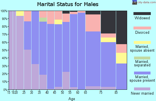 Zip code 32968 marital status for males