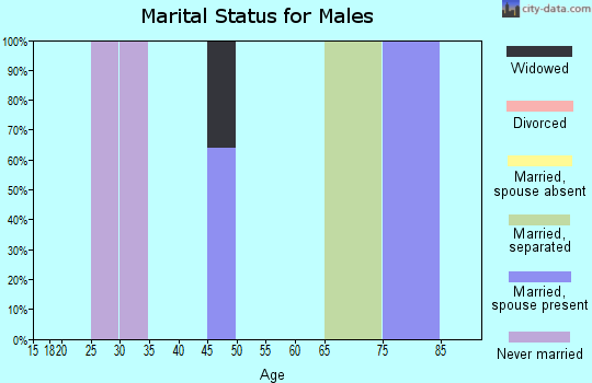 Zip code 32970 marital status for males