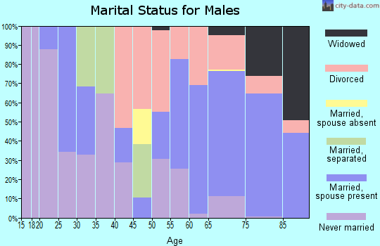 Zip code 32976 marital status for males