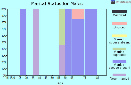 Zip code 33001 marital status for males