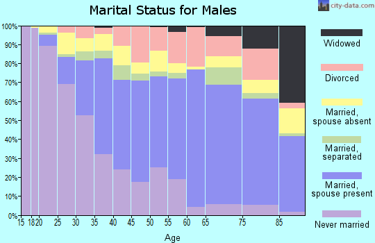 Zip code 33012 marital status for males