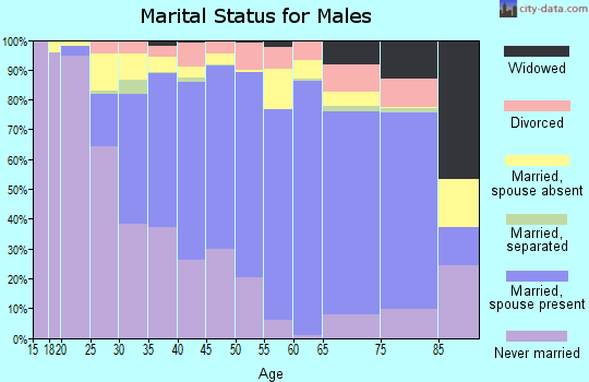 Zip code 33018 marital status for males