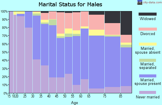 Zip code 33021 marital status for males