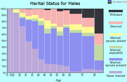 Zip code 33023 marital status for males