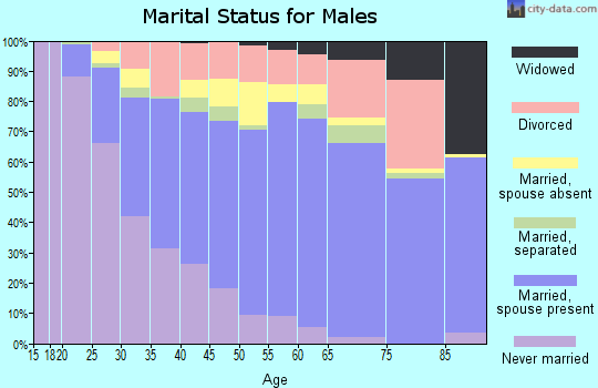 Zip code 33025 marital status for males