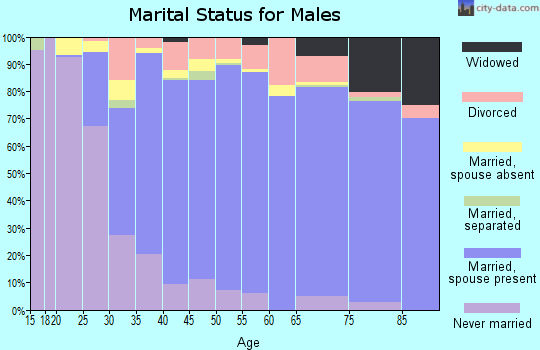 Zip code 33027 marital status for males