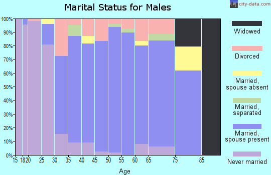 Zip code 33028 marital status for males
