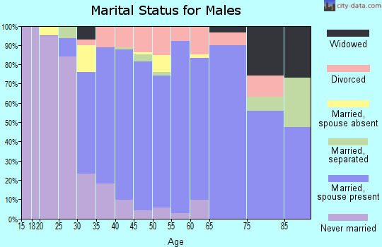 Zip code 33029 marital status for males