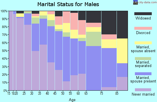 Zip code 33030 marital status for males