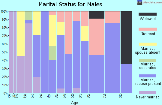 Zip code 33031 marital status for males