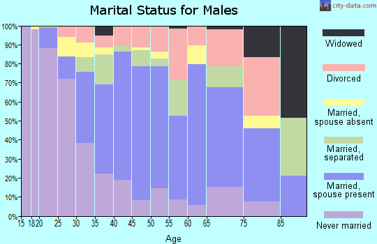 Zip code 33032 marital status for males