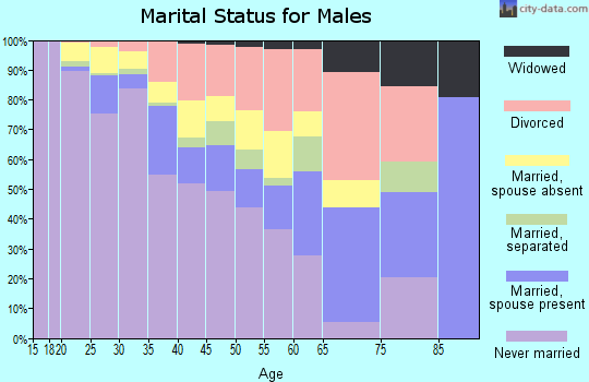Zip code 33034 marital status for males