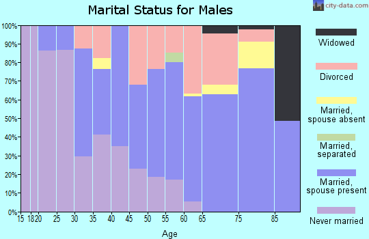 Zip code 33042 marital status for males