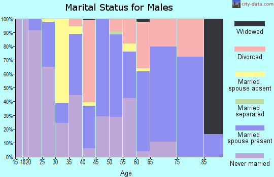 Zip code 33043 marital status for males