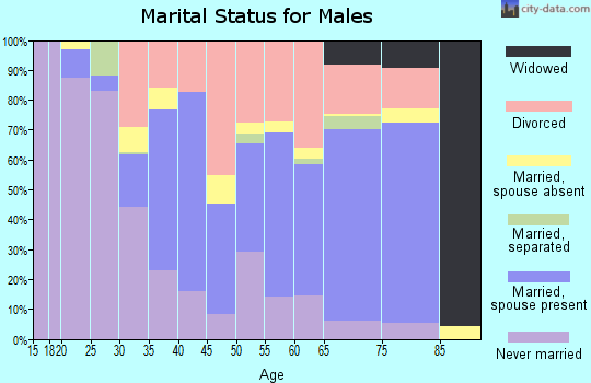 Zip code 33050 marital status for males
