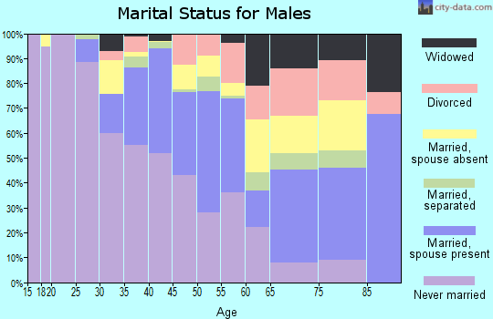 Zip code 33054 marital status for males